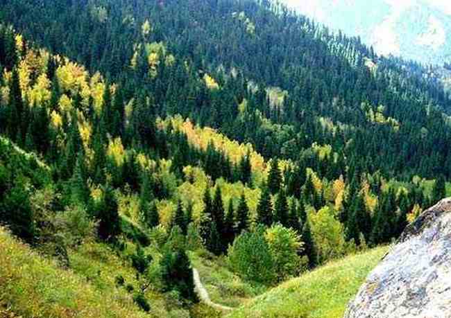 探秘神奇的疆域新疆十条经典徒步线路推荐,图三