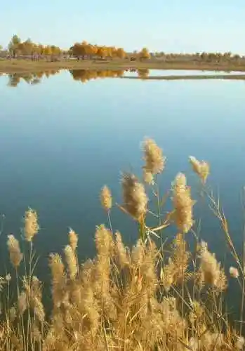 南疆7天经典自驾游在沙漠边缘画个圈