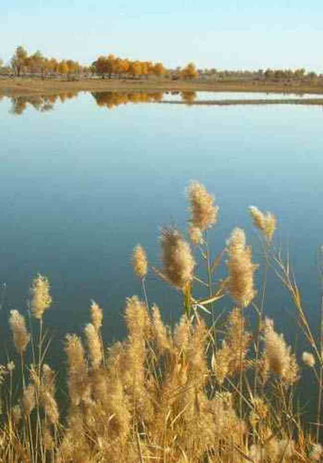 南疆7天经典自驾游在沙漠边缘画个圈,图二