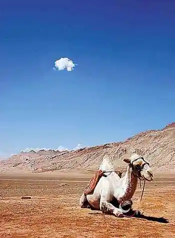 情迷美丽新疆看处处是风景恰似一幅画,图六