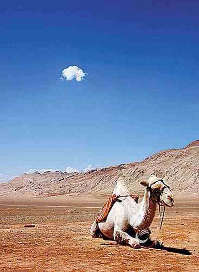 情迷美丽新疆看处处是风景恰似一幅画,图六