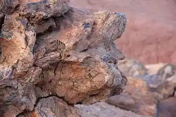 罗布泊穿越经过人间炼狱发现世外桃源,图四