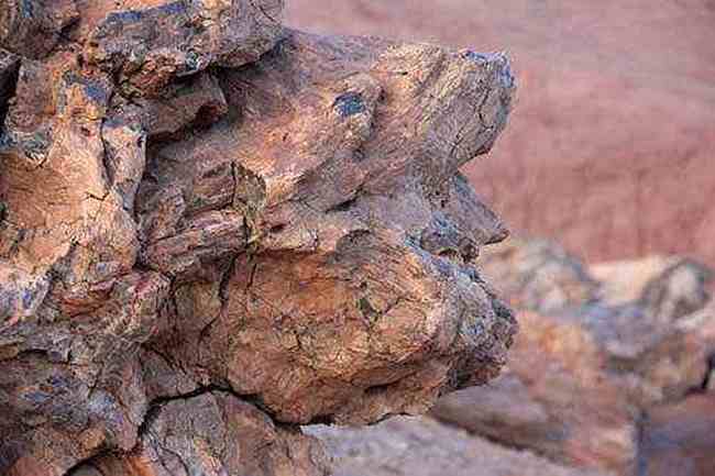 罗布泊穿越经过人间炼狱发现世外桃源,图四