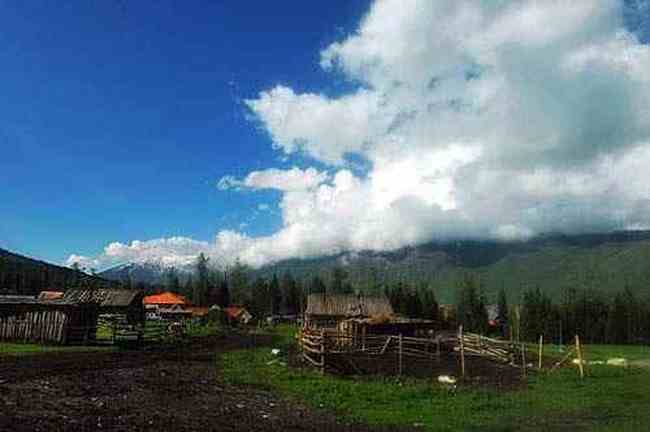 流浪是种浪漫徒步喀纳斯看路上最美风景,图五