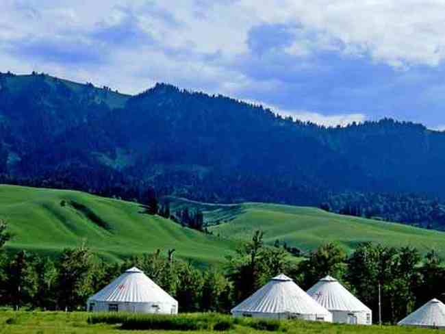 如痴如醉那拉提大草原,图四