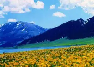 赛里木湖炊烟袅袅湖水悠悠