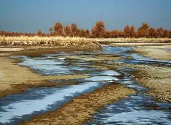 南疆7天经典自驾游在沙漠边缘画个圈,图四