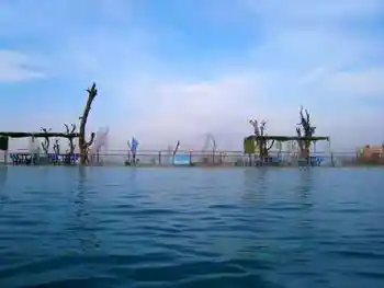 情迷五彩湾寻找沙漠中的奇葩,图三