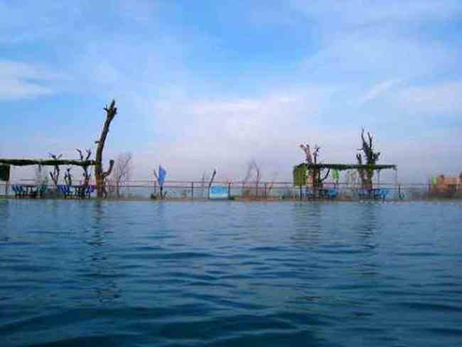 情迷五彩湾寻找沙漠中的奇葩,图三