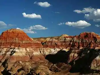 情迷五彩湾寻找沙漠中的奇葩,图二