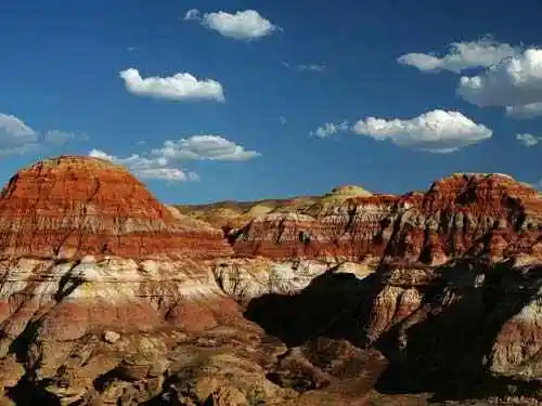 情迷五彩湾寻找沙漠中的奇葩