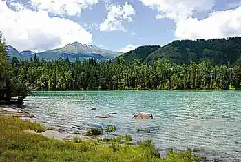 情迷美丽新疆看处处是风景恰似一幅画,图七