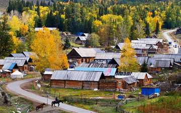 大美新疆-最美的景色！,图五