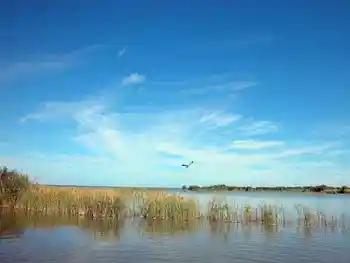 感受新疆四大美人湖,图四