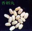 信阳特产,图二