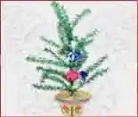 保定各地购物介绍