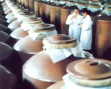 平顶山市土特产