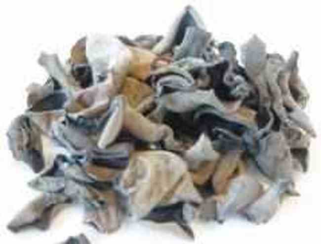 绥化特产食用菌,图一