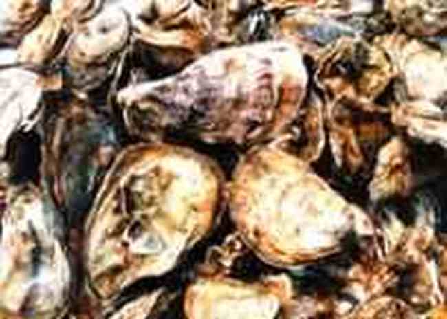 寧波特產(chǎn),圖五