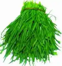 鞍山购物特产综述