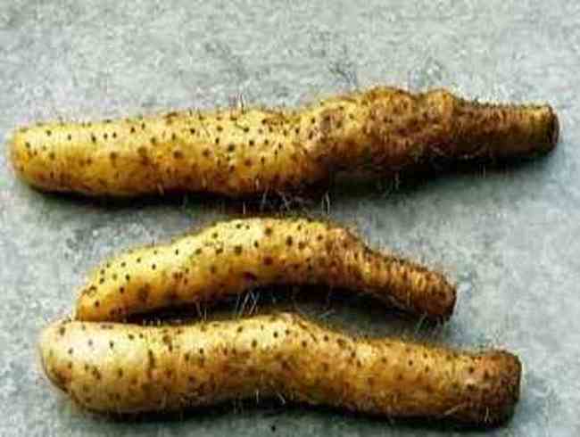 晋中购物介绍,图三