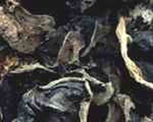 齐齐哈尔购物介绍,图二