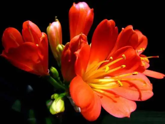 鞍山购物特产综述