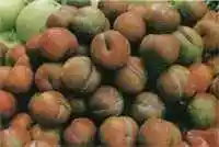 宁德地方购物特产综述