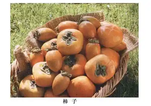 平顶山市土特产