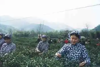 湖州特产推荐