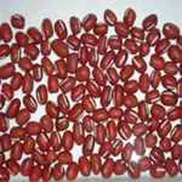 廊坊购物特产介绍,图三