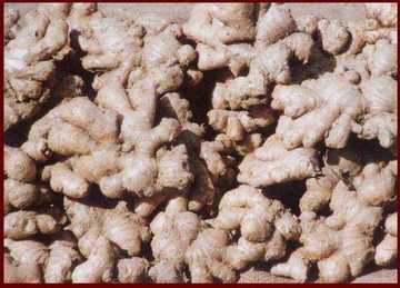 平顶山市土特产,图一