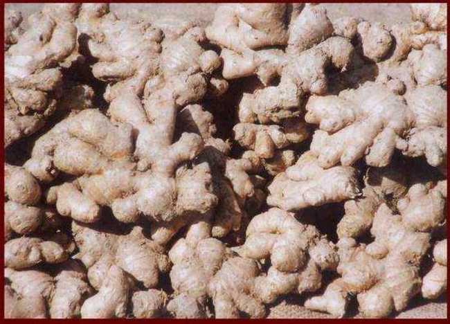 平顶山市土特产,图一