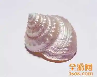 三亚购买工艺品提示