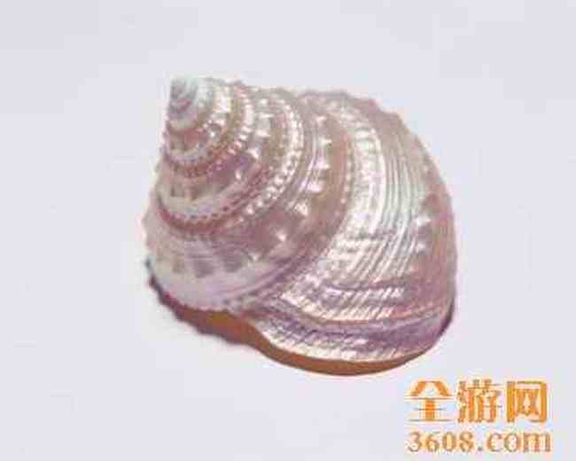 三亚购买工艺品提示,图一