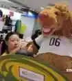 总结自己购物心得