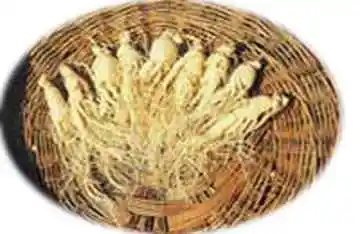 本溪购物特产综述