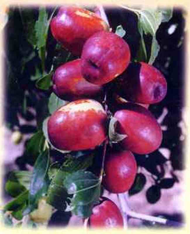 运城地方购物特产综述,图三