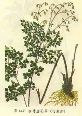 本溪购物特产综述