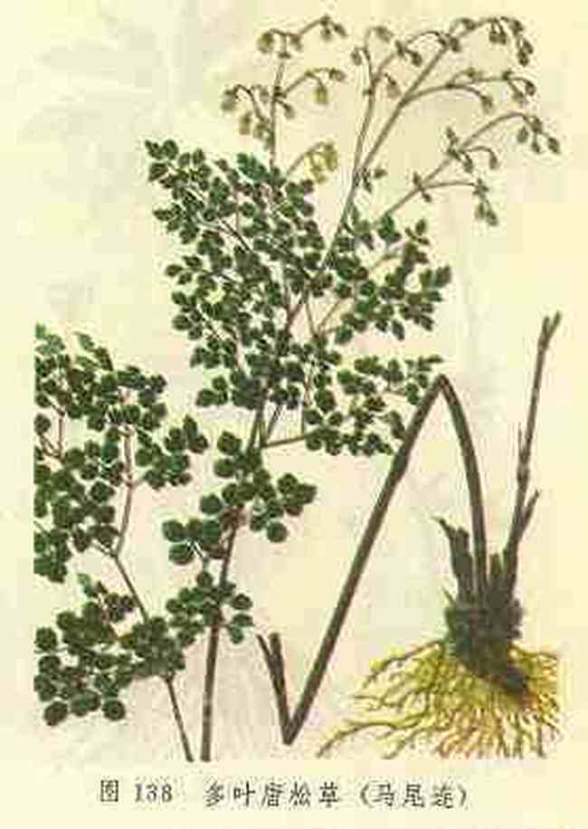 本溪购物特产综述,图一