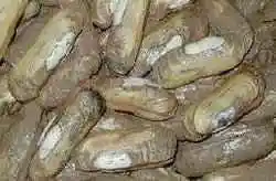 葫芦岛四大名海鲜