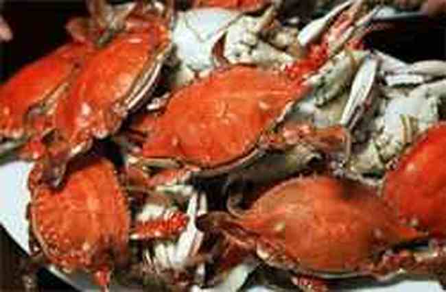 葫芦岛四大名海鲜,图二