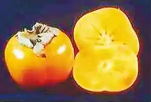 运城地方购物特产综述