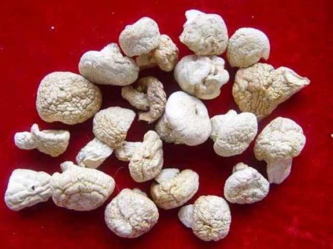 甘孜特产推介,图四