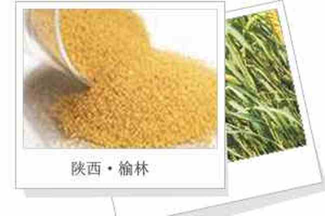 榆林购物介绍,图二