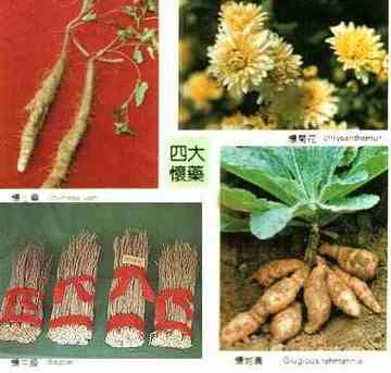 焦阳特产介绍,图一