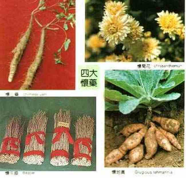 焦阳特产介绍,图一