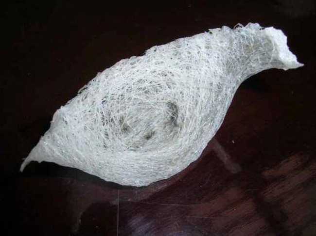 肇庆地方特产综述,图五