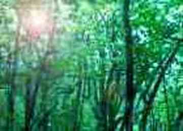 张家界土特产,图三