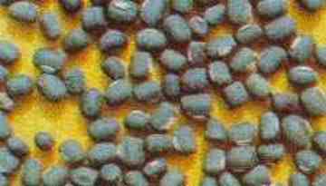 延安土特产购物介绍,图一